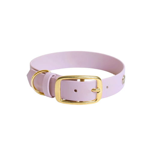 Obroża na sprzączkę dla psa, lilia / time to be Unidog!, YOU're pawsome! BURA