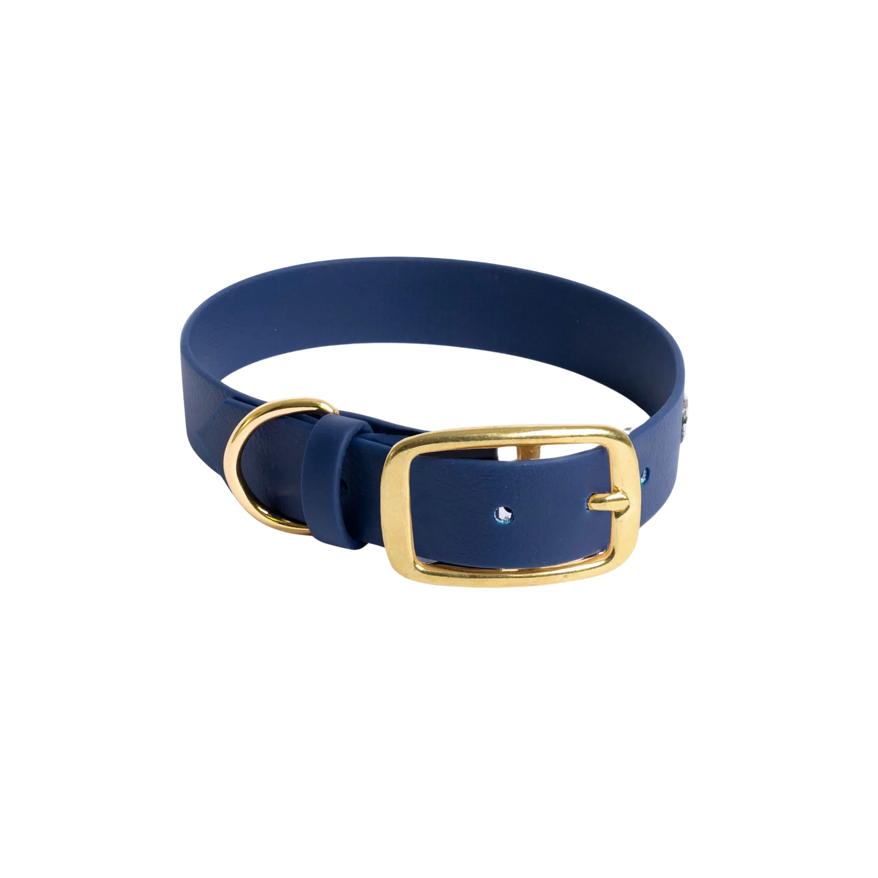 Obroża na sprzączkę dla psa, granat / Royal dog BURA