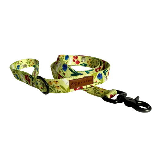 Smycz miejska Zające na łące psistań