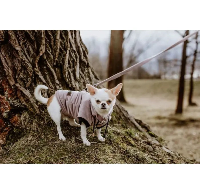 Smycz dla psa Pink Velvet DOGIDIGI