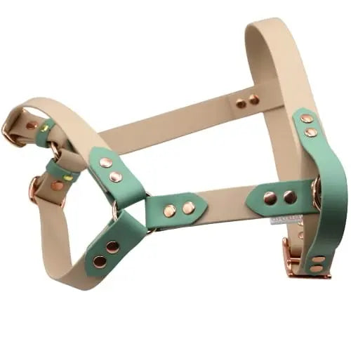 Szelki z regulacją BioThane Almond Beige Co Collar