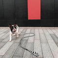 Załaduj obraz do przeglądarki galerii, Smycz dla psa wodoodporna BLACK&WHITE DOGIDIGI