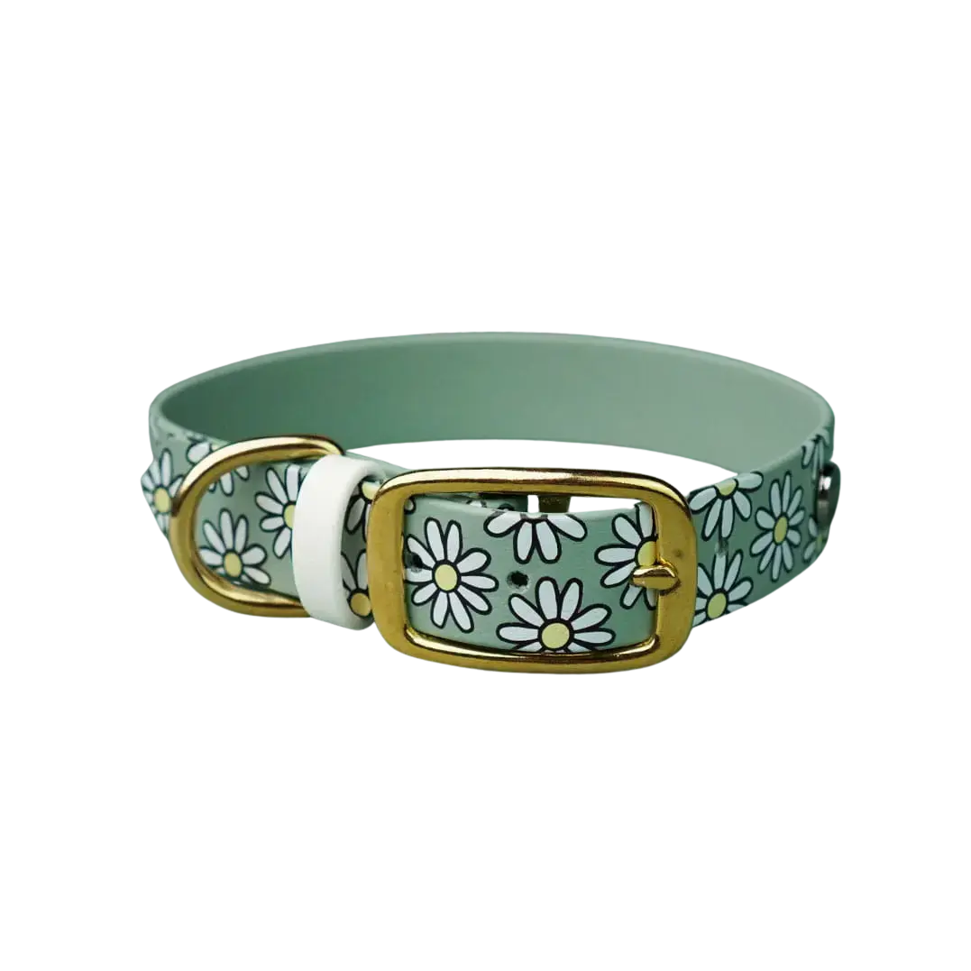 Obroża na sprzączkę dla psa, Stokrotki / szałwiowy BURA