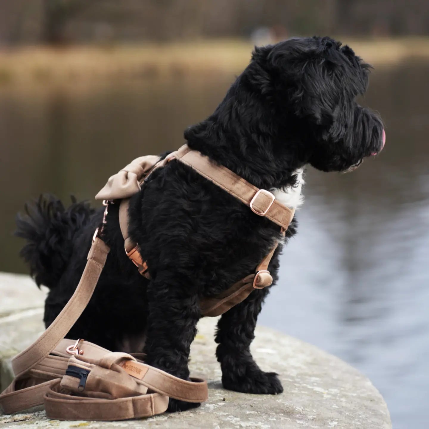 Szelki typu guard brąz Psotnik