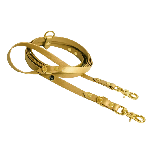 Smycz przepinana multifunkcyjna z Biothane dla psa, złoty / psiowe carmeLOVE, chocolate... HAU good! BURA