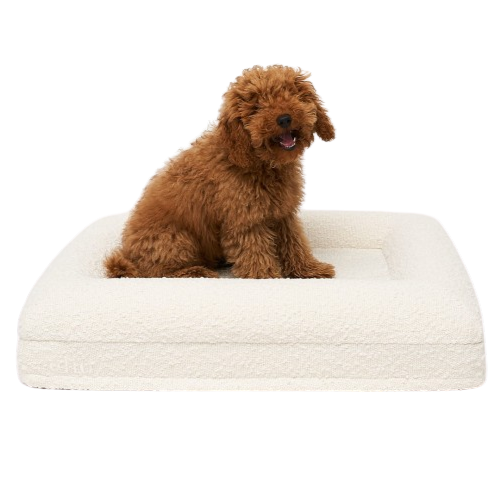 Legowisko ortopedyczne premium boucle SMALL ELIO