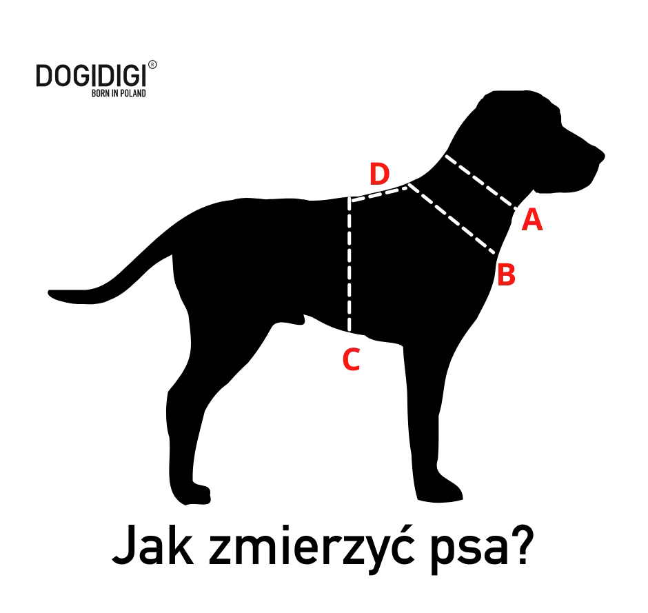 Szelki dla psa GUARD FUR brązowe DOGIDIGI