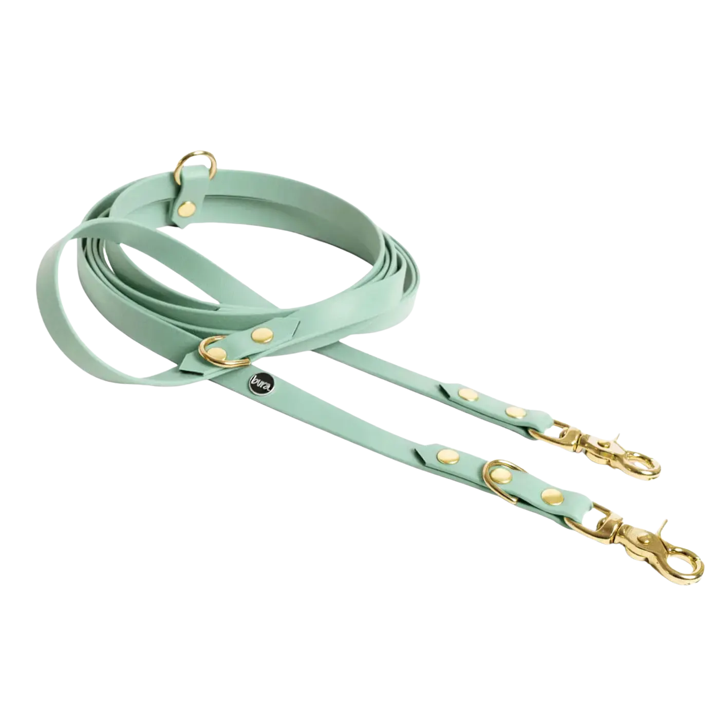 Smycz przepinana multifunkcyjna z Biothane dla psa, szałwiowy / szAUUUwia BURA