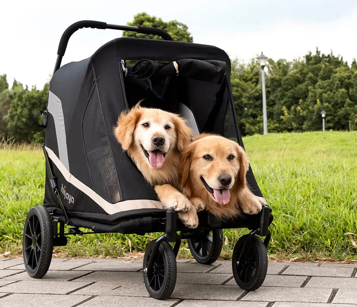 Ibiyaya Wózek Grand Cruiser Large Dog Ibiyaya