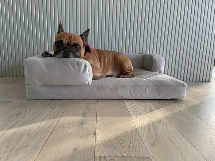 Legowisko ortopedyczne dla psa SNUG DOGIDIGI