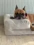 Legowisko ortopedyczne dla psa SNUG DOGIDIGI