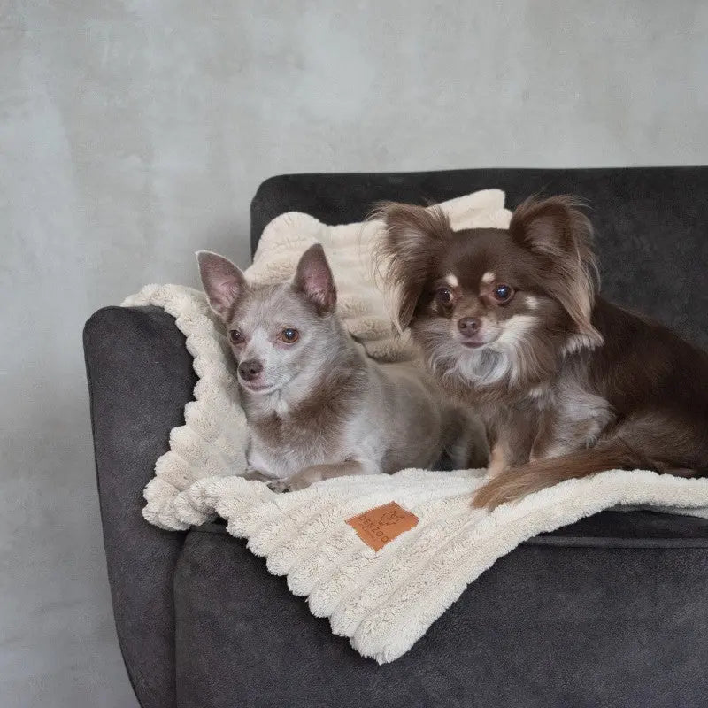 KOCYK PALERMO BEIGE DENZOO