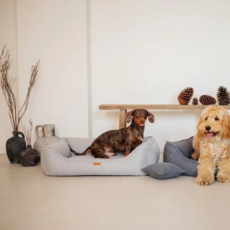Legowisko premium dla psa i kota ortopedyczne szare - BELLUNO GREY DENZOO