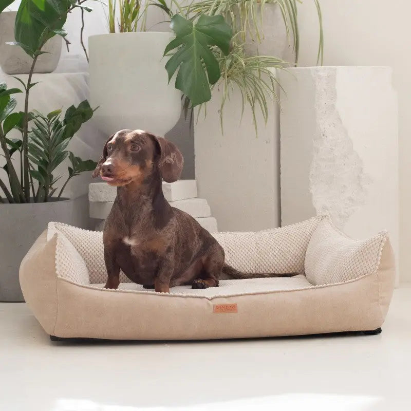 Legowisko dla psa i kota z materacem ortopedycznym beżowe - ANCONA BEIGE DENZOO