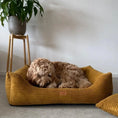 Załaduj obraz do przeglądarki galerii, Legowisko dla psa i kota z materacem ortopedycznym musztardowe - RIMINI MUSTARD DENZOO