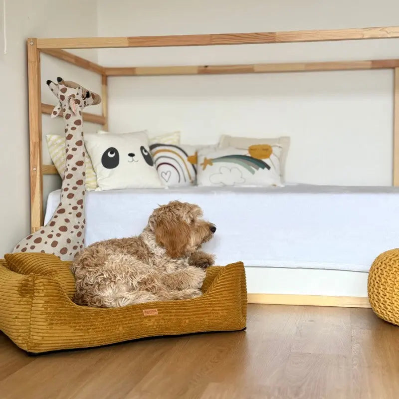 Legowisko dla psa i kota z materacem ortopedycznym musztardowe - RIMINI MUSTARD DENZOO