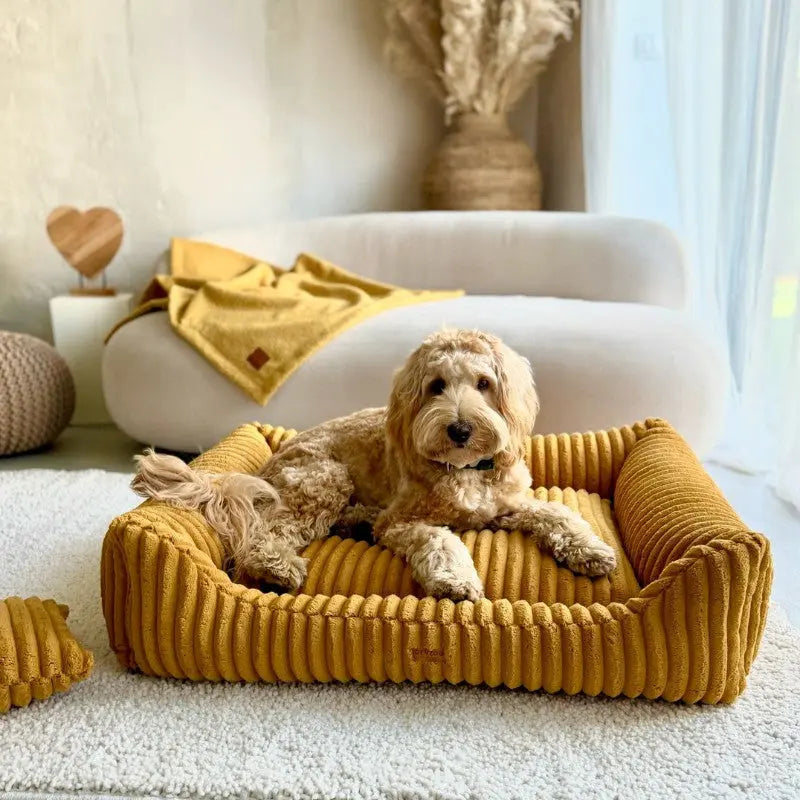 Legowisko premium dla psa i kota ortopedyczne musztardowe - PALERMO MUSTARD DENZOO