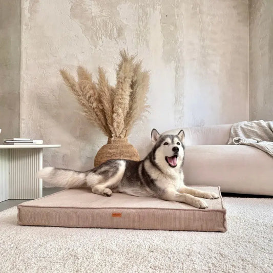 MATERAC dla psa i kota ortopedyczny ciemno beżowy - TORINO DARK BEIGE DENZOO