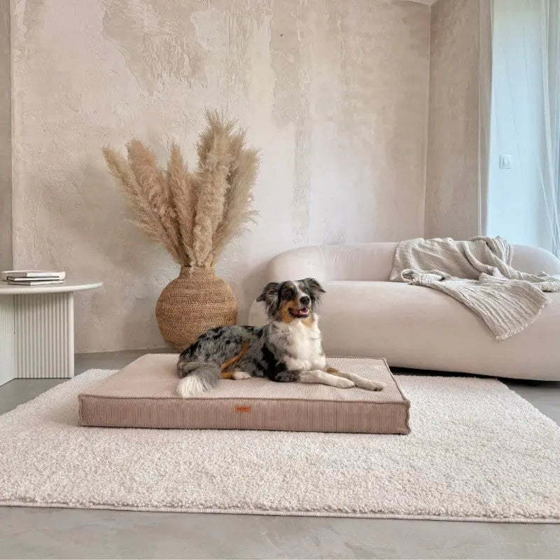 MATERAC dla psa i kota ortopedyczny ciemno beżowy - TORINO DARK BEIGE DENZOO