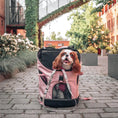 Załaduj obraz do przeglądarki galerii, Ibiyaya Plecak Ultralight PRO Coral Pink Ibiyaya