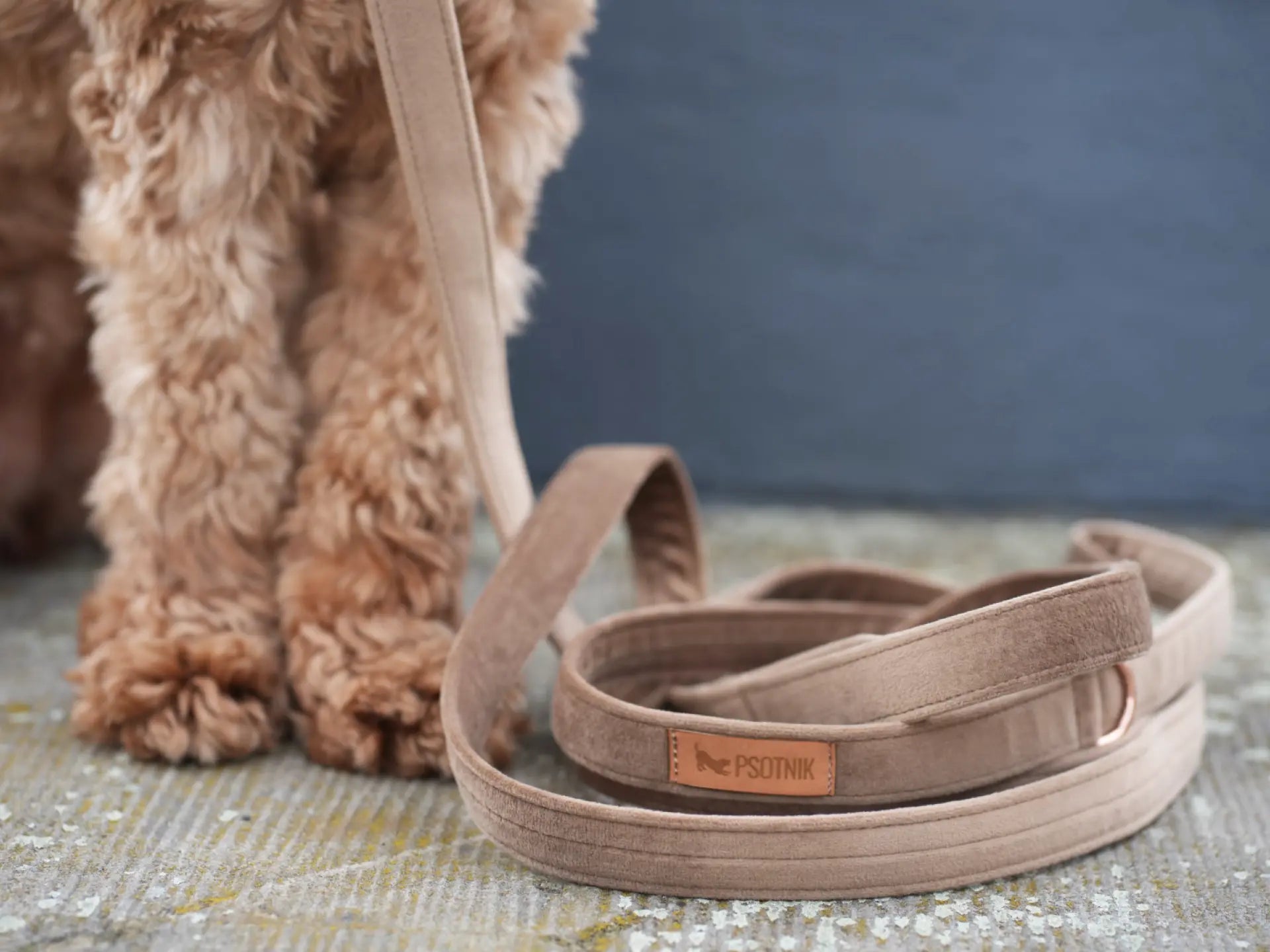 Smycz miejska Brązowy Psotnik Psotnik