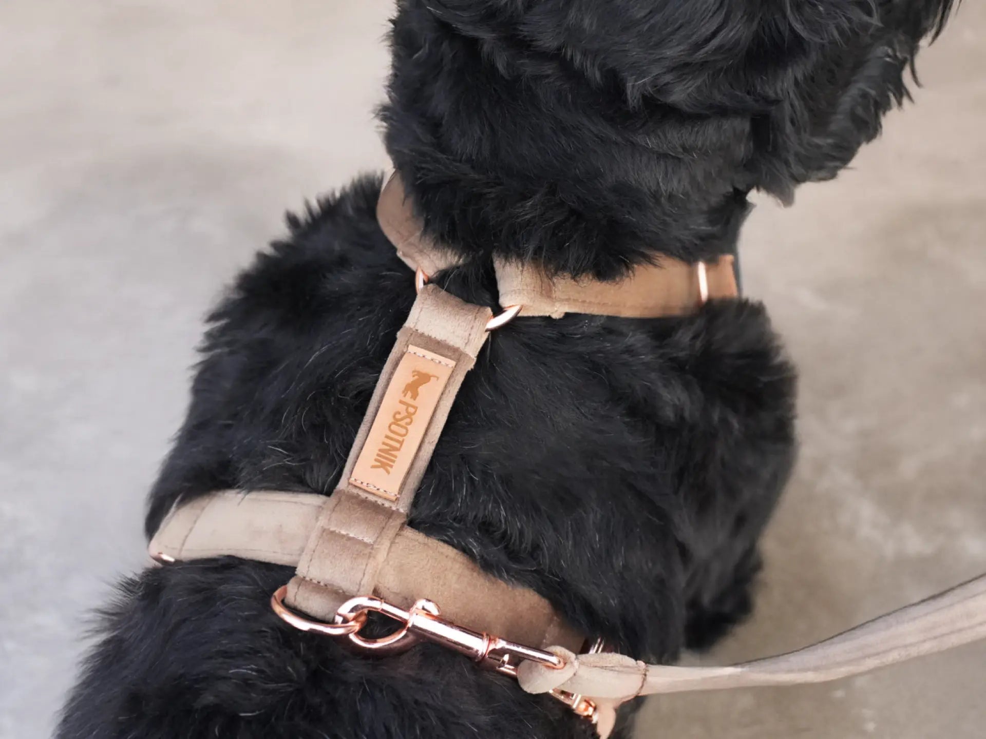 Szelki typu guard brąz Psotnik