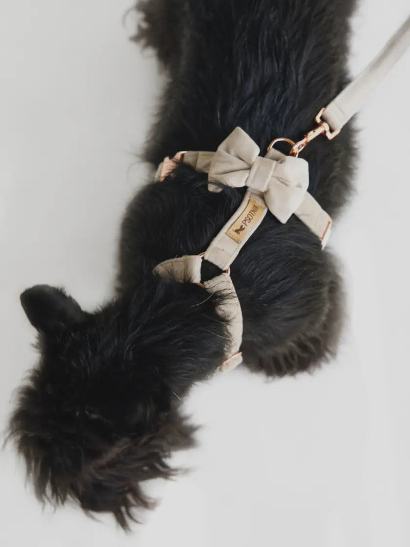 Szelki typu guard beżowe Psotnik