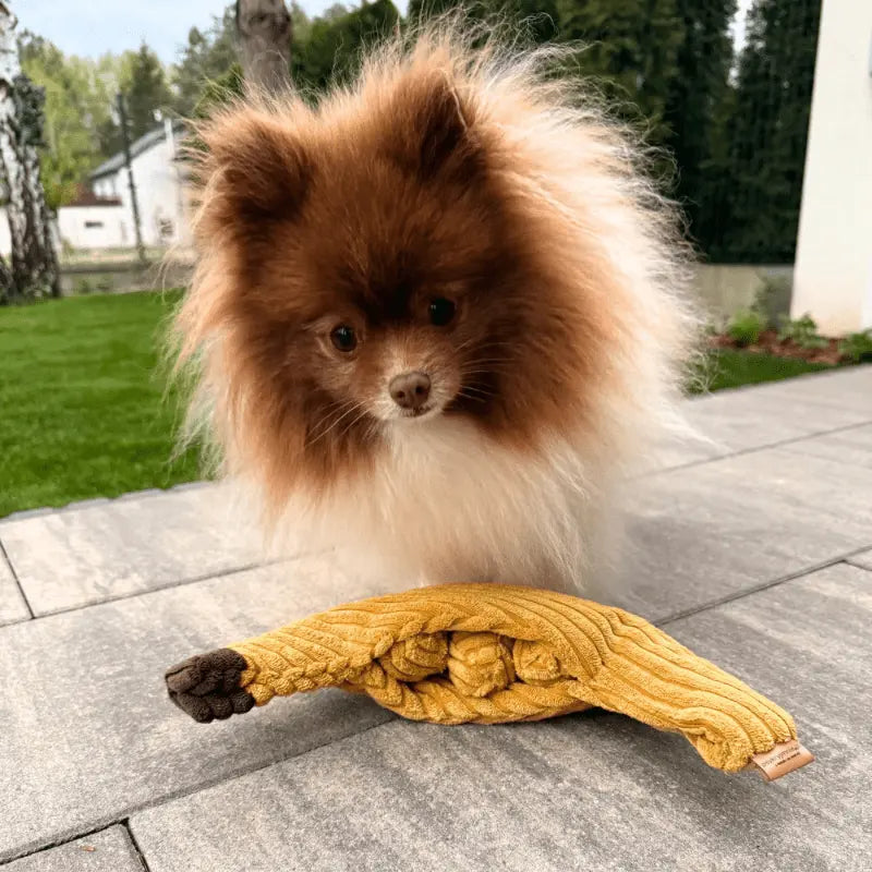 Zabawka węchowa Banan psykryj mnie