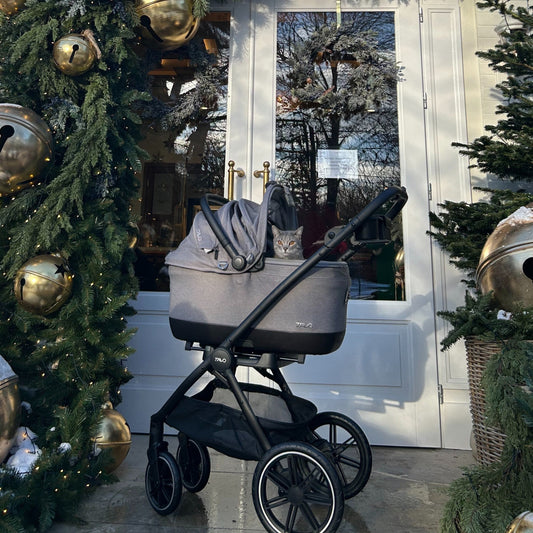 Zimowy spacer w wózku TAVO