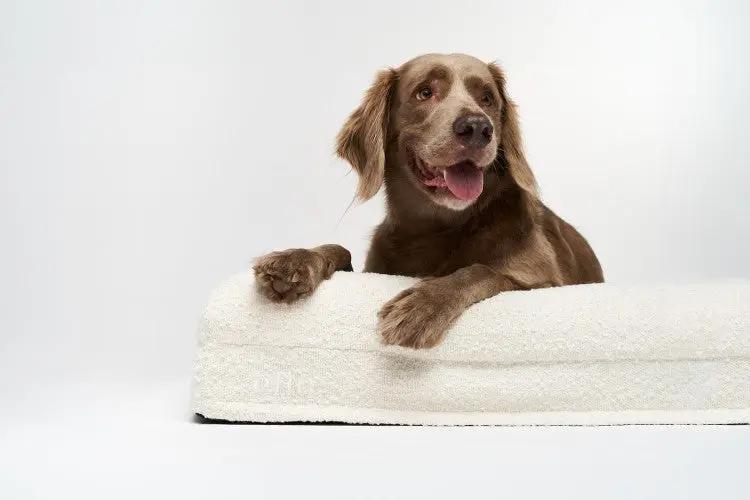 Czy produkty premium są drogie?