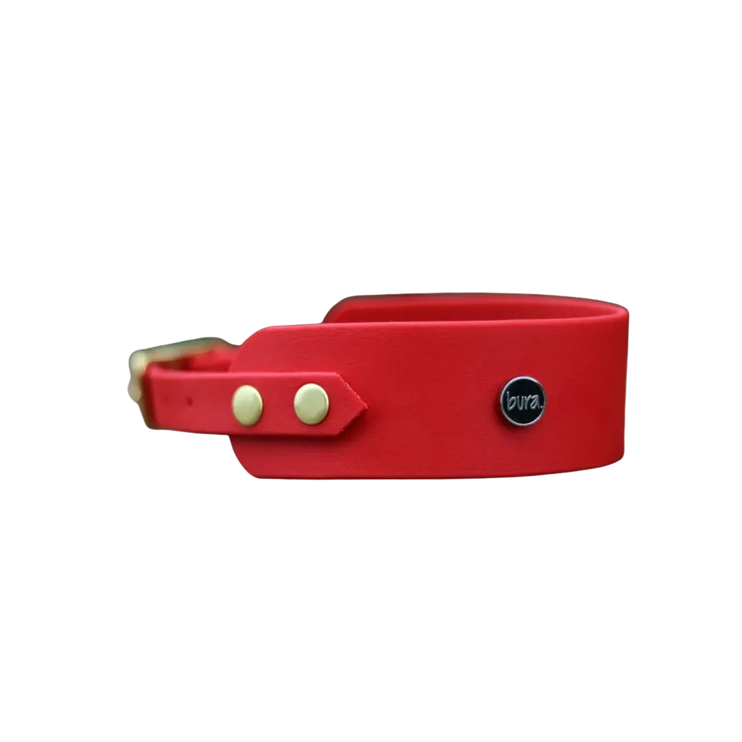 Obroża dla Charta na sprzączkę, hot DOG / czerwony BURA