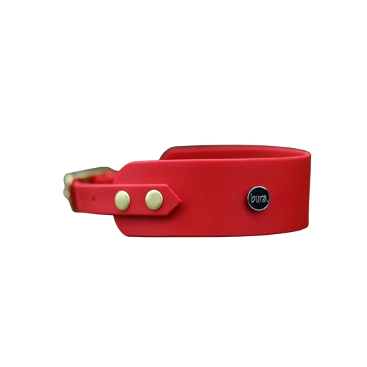 Obroża dla Charta na sprzączkę, hot DOG / czerwony BURA