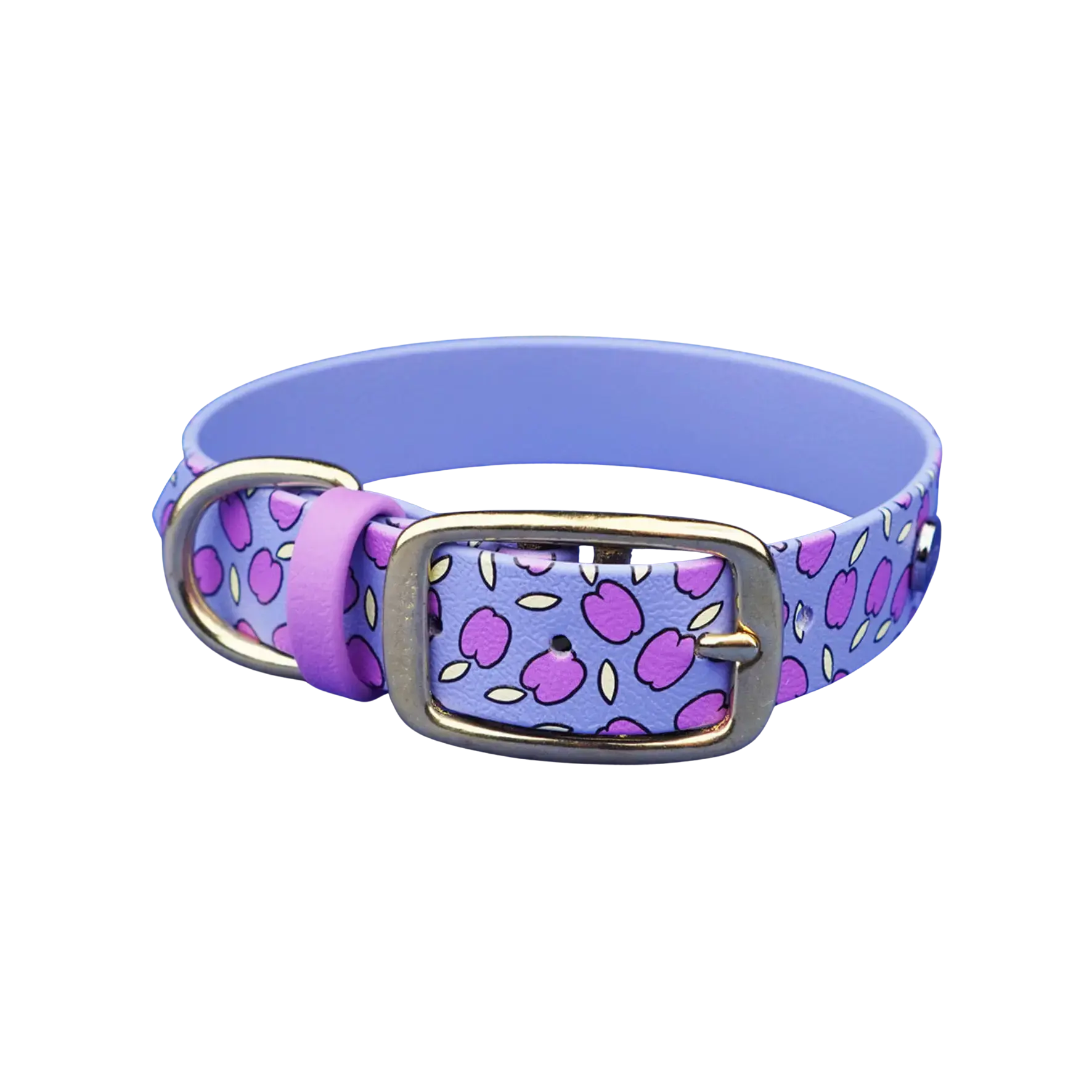 Obroża na sprzączkę dla psa, Śliweczki / niebiesko-lawendowy BURA