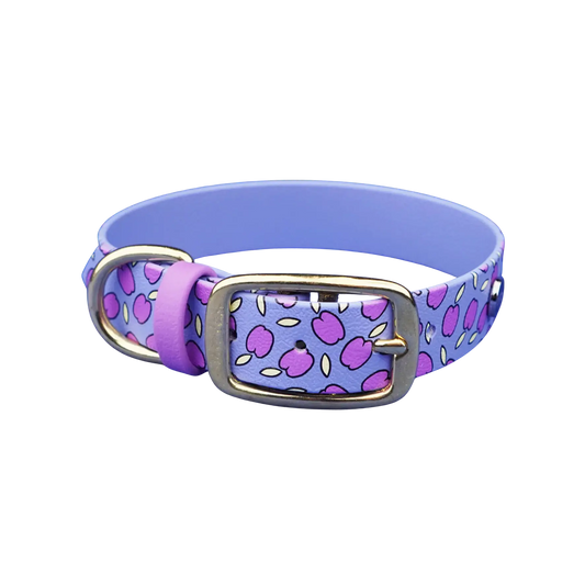Obroża na sprzączkę dla psa, Śliweczki / niebiesko-lawendowy BURA