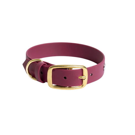 Obroża na sprzączkę dla psa, bordo / HAU... hot in here, DARK HAU... hot in here BURA