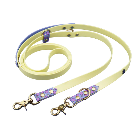 Smycz przepinana multifunkcyjna z Biothane dla psa, Śliweczki / jasny fiolet, pastelowy żółty BURA