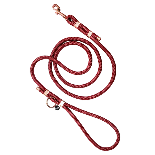 Smycz miejska linowa dla psa, bordo / HAU... hot in here BURA