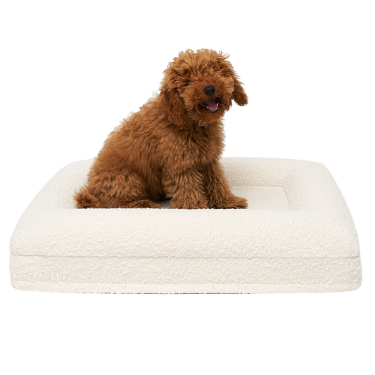 Legowisko ortopedyczne premium boucle SMALL