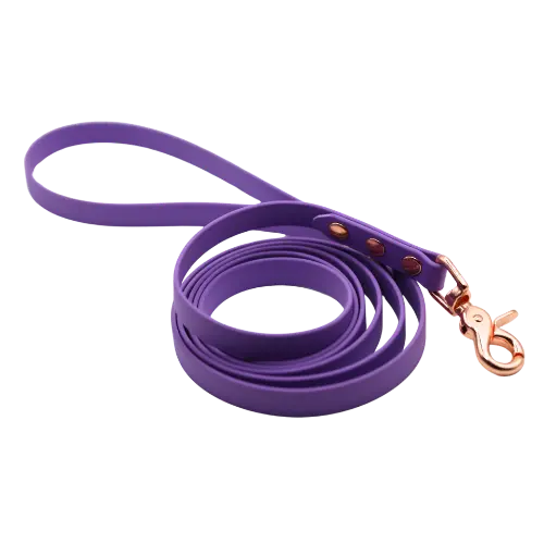 Smycz BioThane Lilac Purple Co Collar