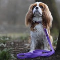Załaduj obraz do przeglądarki galerii, Smycz BioThane Lilac Purple Co Collar
