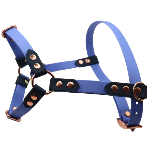 Szelki z regulacją BioThane Fairy Periwinkle Co Collar