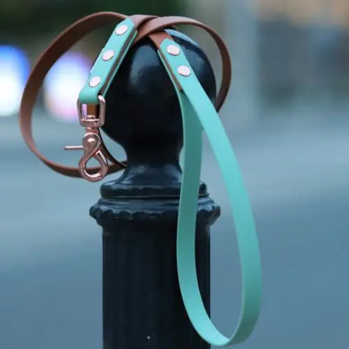 Smycz BioThane Toffee brown Co Collar