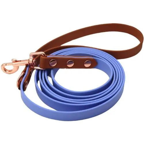 Smycz BioThane Fairy Periwinkle Co Collar