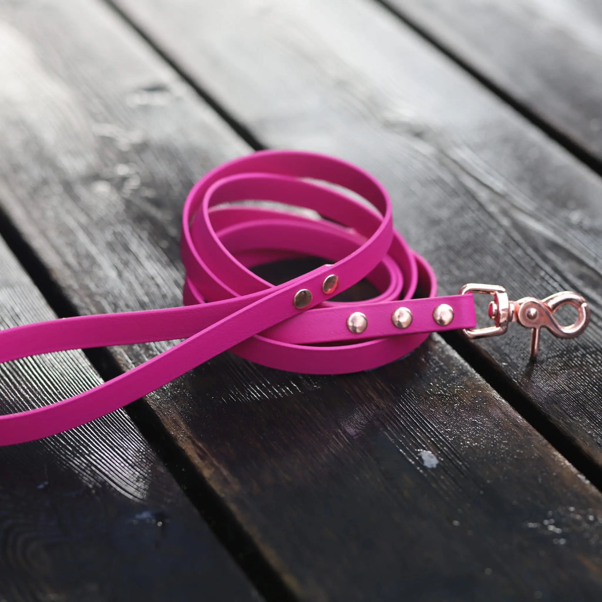 Smycz BioThane Magenta Pink Co Collar