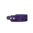 Załaduj obraz do przeglądarki galerii, Obroża dla Charta na sprzączkę, time to be Unidog! / fiolet BURA
