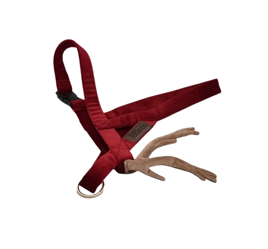 Szelki dla psa Rudolf czerwononosy Renifer DOGIDIGI