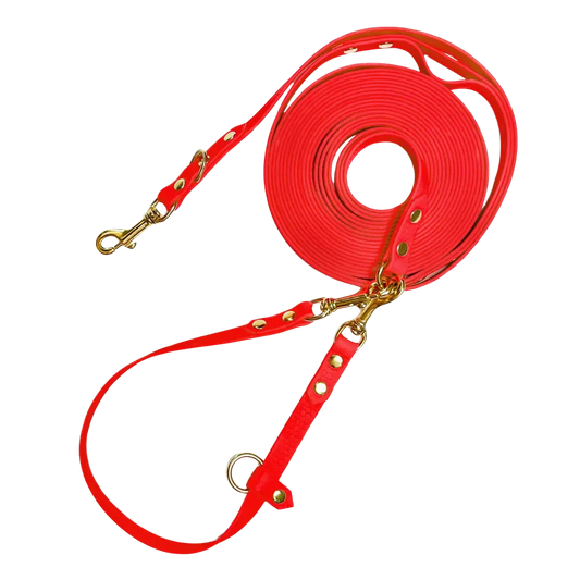Linka treningowa dla psa z taśmy HEXA, czerwony BURA
