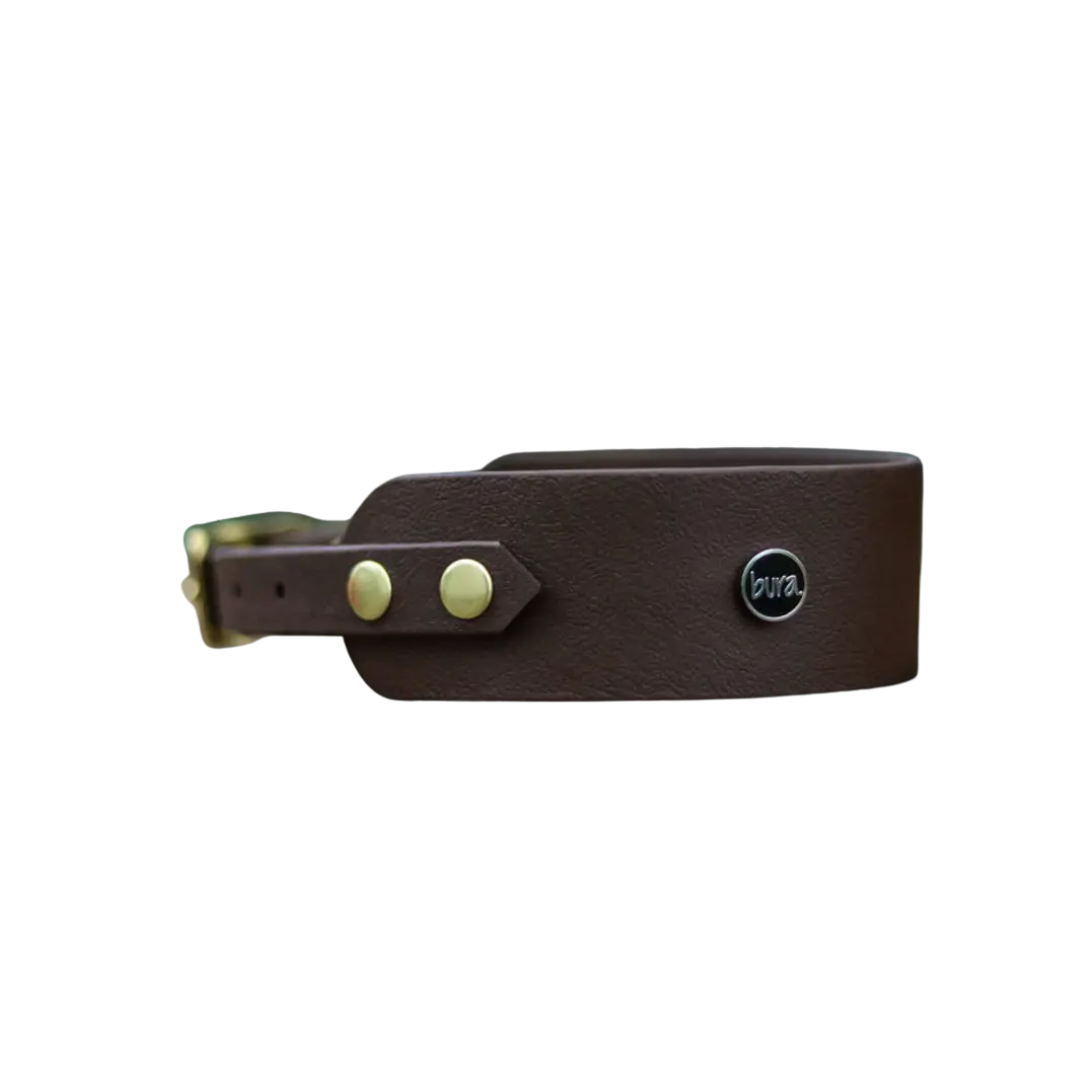 Obroża dla Charta na sprzączkę, dark chocolate... HAU good! / ciemny brąz BURA