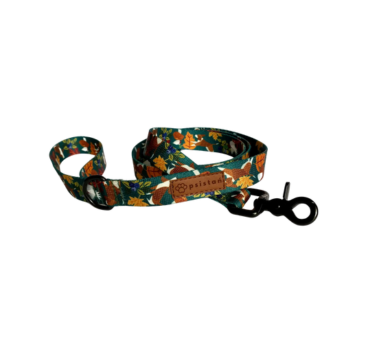 Smycz miejska Leśne Harce psistań