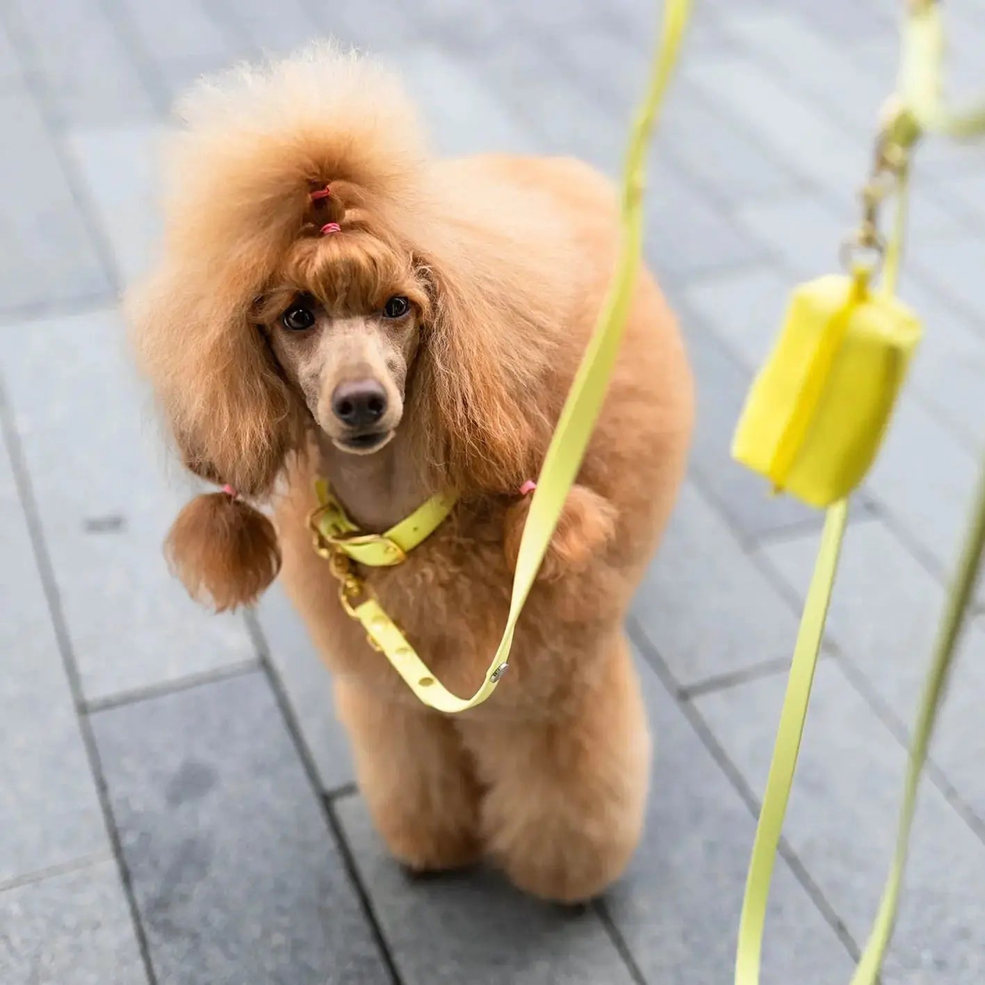 Etui na woreczki, pastelowy żółty / PUP'S Paradise BURA